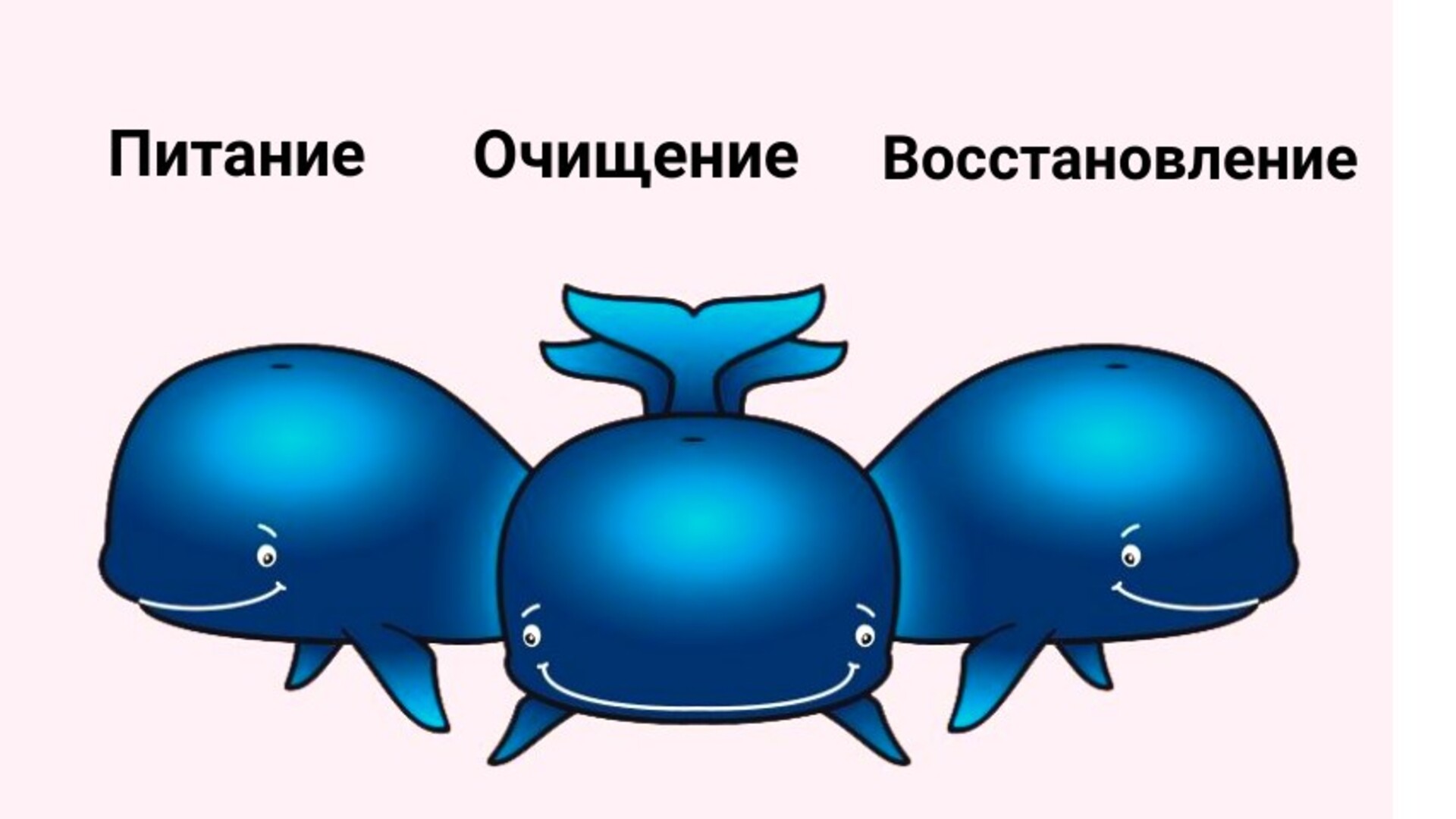 Три кита держат землю картинки